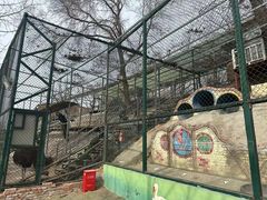 -北京鹿世界主题园