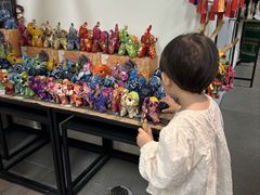 -西双版纳原始森林公园