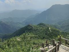 -大岭沟猕猴桃谷风景区