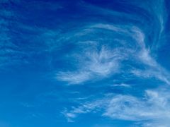 -星巴克(深圳音乐厅店)