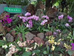 -南山植物园