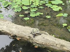 -宝光寺