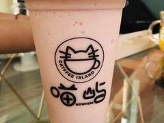 -喵屿·大理花园猫咖