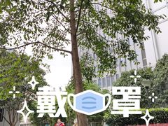 -桂桂茶(恒基名人店)