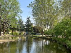 -石家庄市植物园