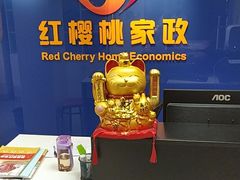 -红樱桃月嫂育婴师(徐汇总店)