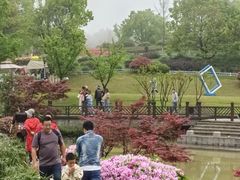 -铁山坪森林公园