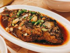 -金孔雀温泉旅游度假村