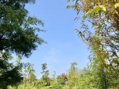 -同里国家湿地公园