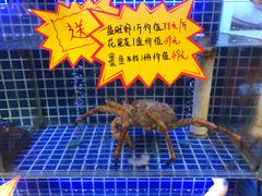 -必点海鲜·鲅鱼水饺(鞍山西道店)