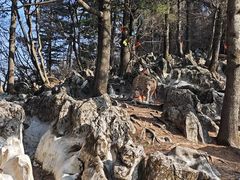 -秦岭天竺山生态文化旅游景区