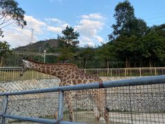 -泉州海丝野生动物世界