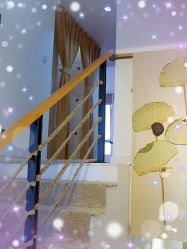 -酉嘉瑜伽YO+YOGA