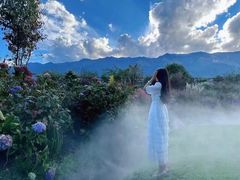 -济南恒隆广场