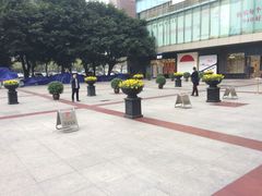 -成都凯宾斯基饭店