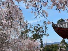 -醍醐寺
