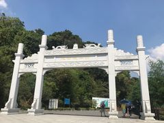 -羚羊峡古栈道森林公园