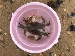 -那香海钻石沙滩浴场