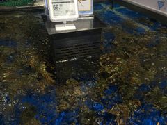 -盒马鲜生(莱蒙都会店)