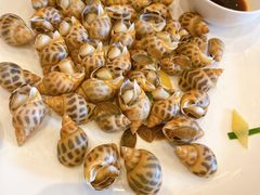 -莆鑫海鲜城(浏河店)