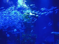 -哈尔滨波塞冬海底世界