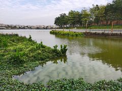 -仙湖旅游度假区