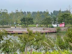 -东郊湿地公园
