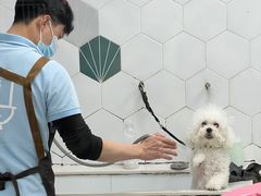 -瑞鹏宠物医院犬猫全科(真大分院)