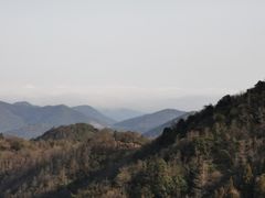 -北仑森林植物园