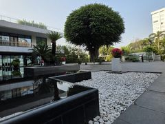 -广州白天鹅宾馆
