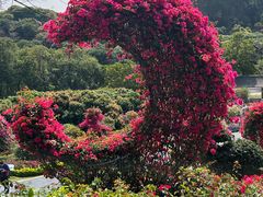 -东莞植物园