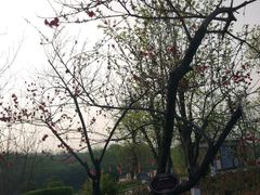 -西安汉城湖景区