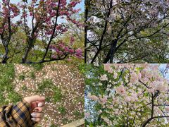 -茶颜悦色(花园道店)
