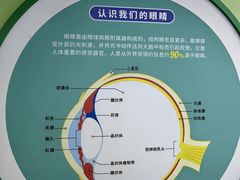-西安市第四医院医学验光配镜中心