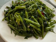 -诚明农家乐