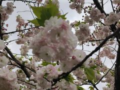 -广富林郊野公园