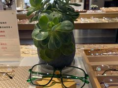 -A380视光·蔡司眼镜店(锦艺城店)