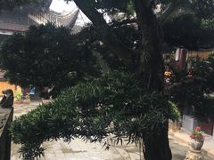 -自贡市盐业历史博物馆