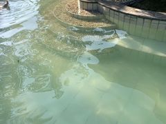 -咸宁太乙国际温泉度假村