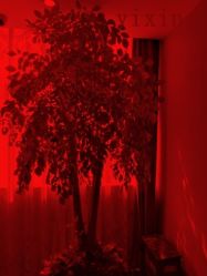 -Yestar杭州艺星医疗美容医院