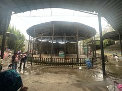 -贵州森林野生动物园
