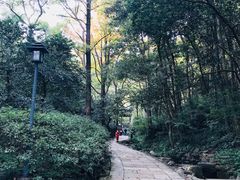 -虎跑公园