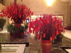 iphone_upload_pic-常州环球恐龙城维景国际大酒店