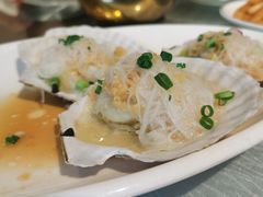蒜蓉粉丝蒸元贝-强记海鲜·大排档(蛇口新街店)