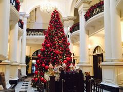 华尔道夫酒店廊吧-LONG BAR 廊吧(外滩华尔道夫酒店)