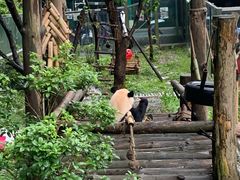 -黔灵山公园