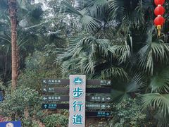 -广州莲花山旅游区