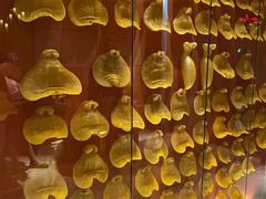 -辉哥火锅(虹桥路店)