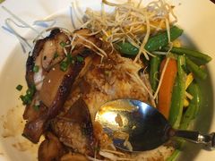 -bluefrog蓝蛙(水游城店)