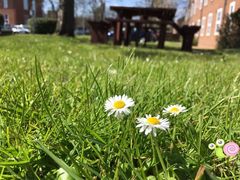 -上海滴水湖皇冠假日酒店